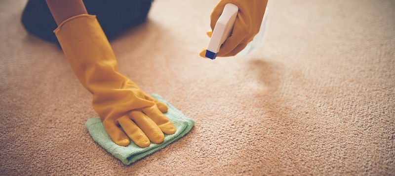 carpet stain tricks